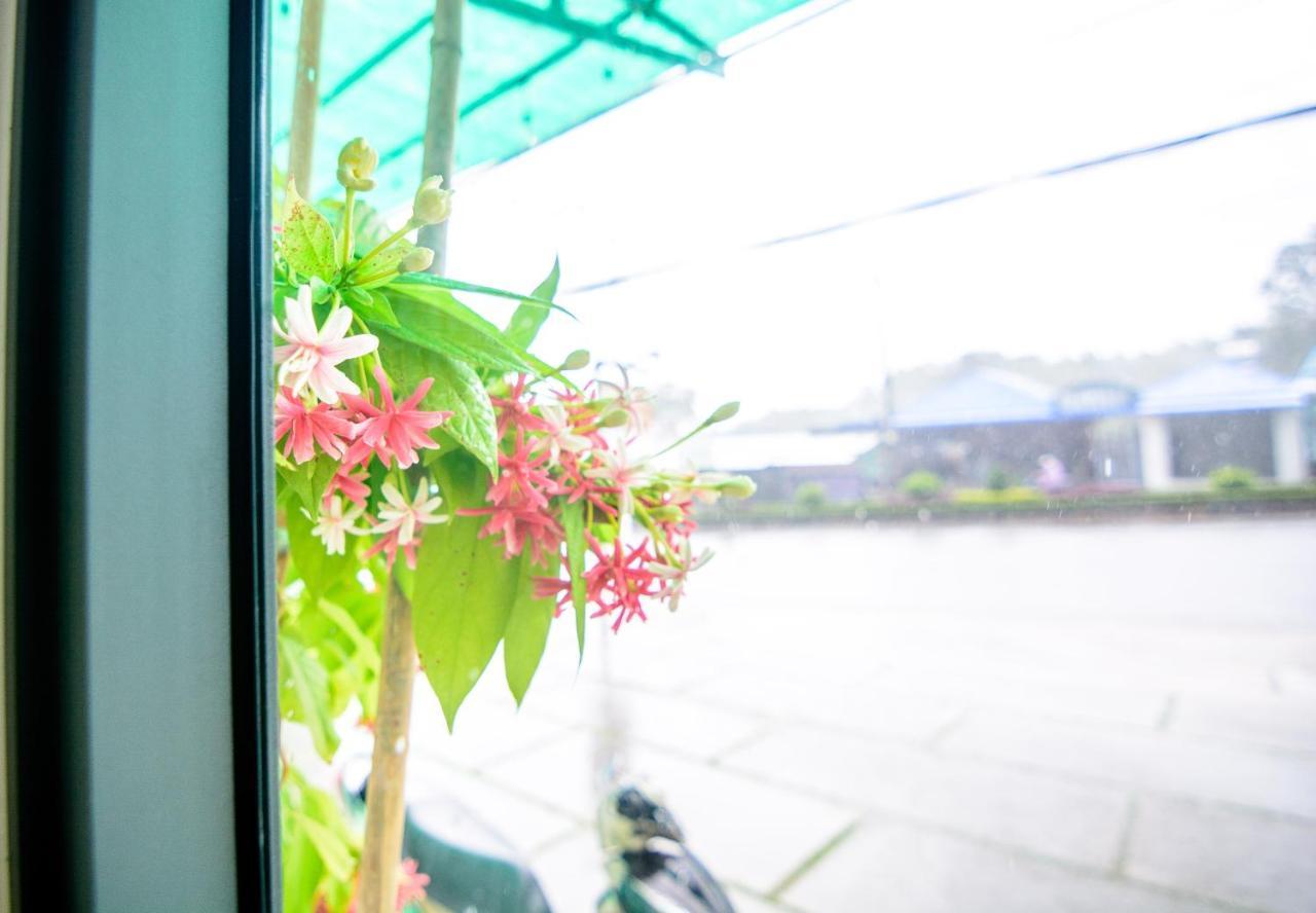 Wanderlust Homestay Phú Quốc Ngoại thất bức ảnh